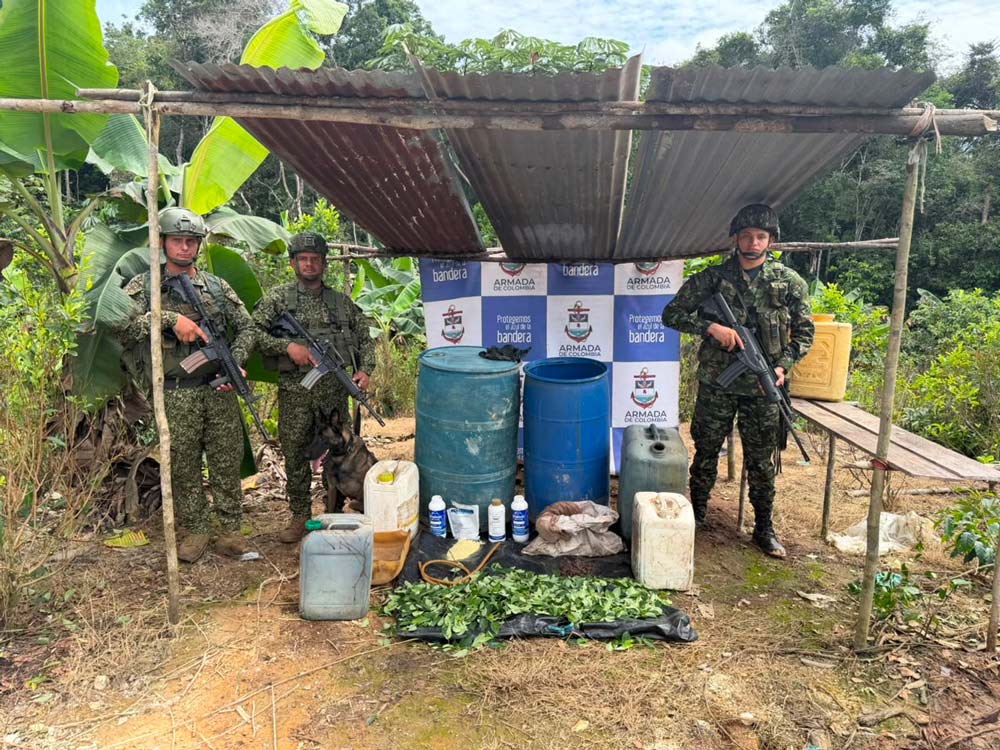 Ejército propinó nuevo golpe a economías ilícitas en Vichada