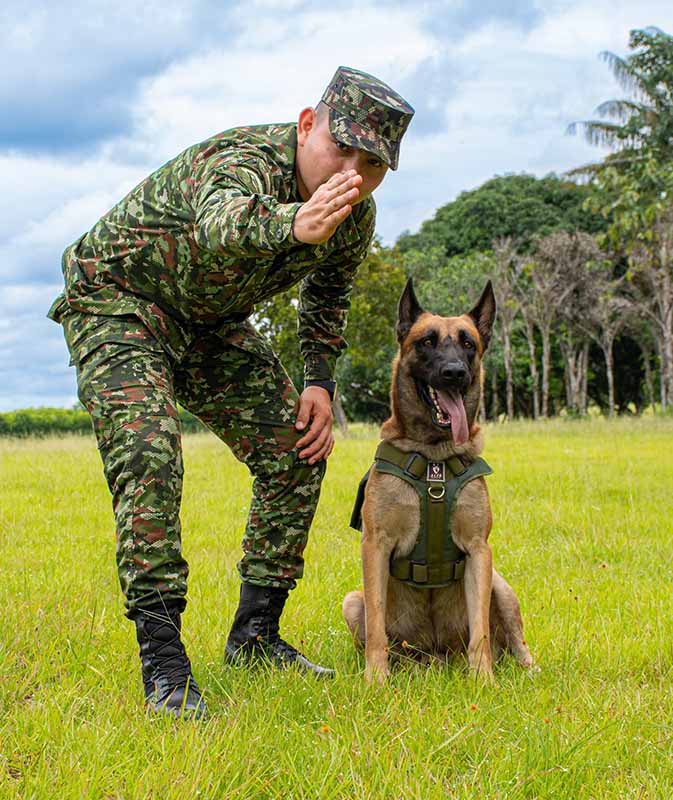 Rex y su guía, un binomio que protege vidas al servicio del Guaviare
