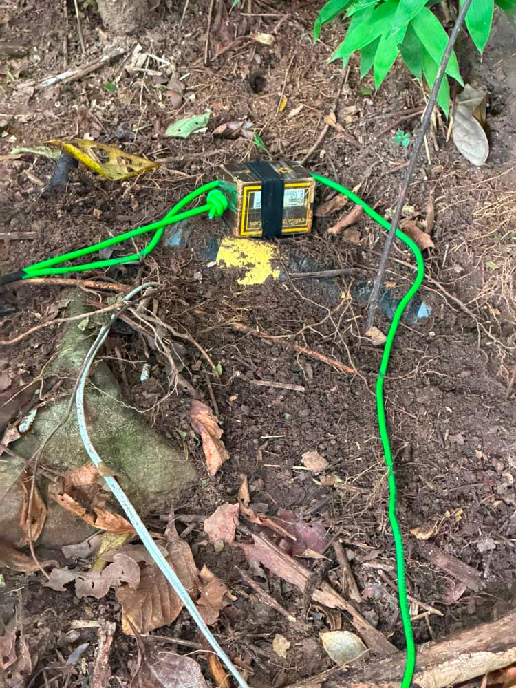 Ejército Nacional destruyó campo minado instalado por el ELN en Casanare