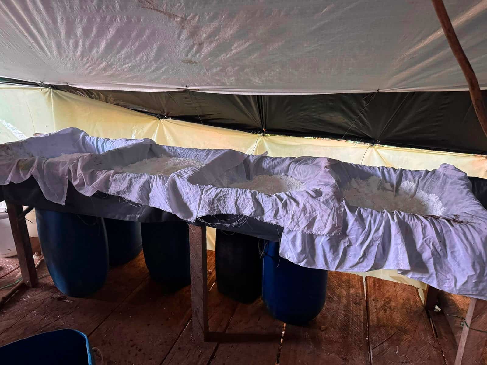 Ejército Nacional evita que el grupo armado ELN comercialice más de media tonelada de clorhidrato de cocaína en Norte de Santander