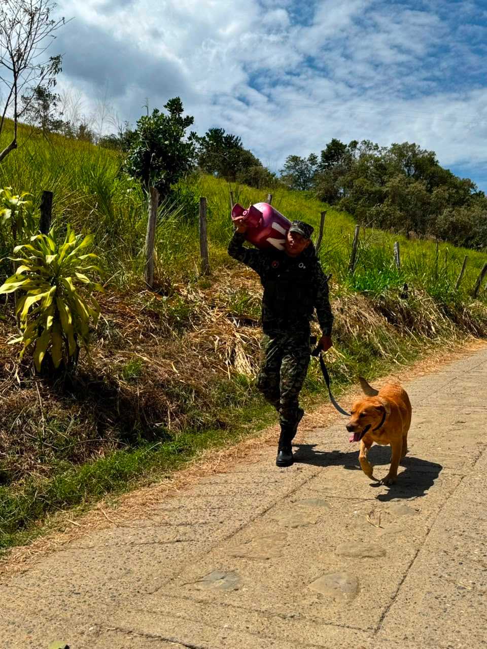 Ejército Nacional descartó la presencia de explosivos en un cilindro abandonado en zona rural de Chaguaní, Cundinamarca
