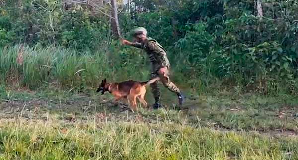 Guardianes de la vida: así trabajan los especialistas en Desactivación de Artefactos Explosivos (EOD) del Ejército en el Guaviare