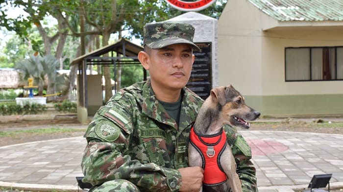 Una luz de esperanza en medio de la emergencia: la historia de Aqua, un perrito rescatado por el Ejército Nacional durante las inundaciones en Córdoba